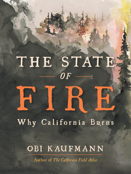 Title details for The State of Fire by Obi Kaufmann - Available